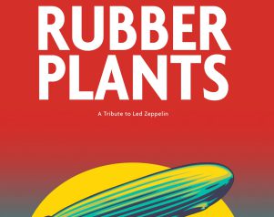 Rubber Plants