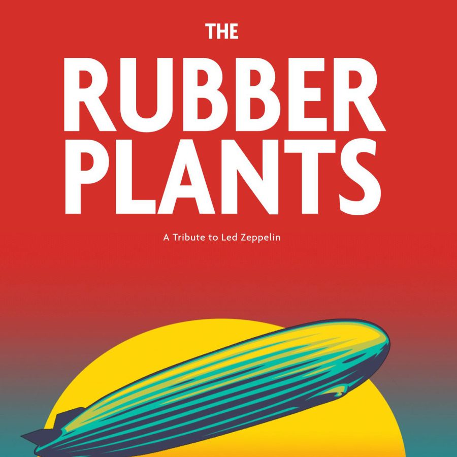 Rubber Plants