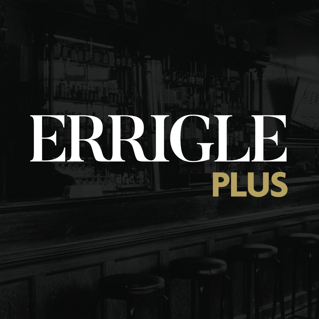 Introducing Errigle Plus