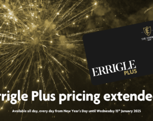 Happy New Year with Errigle Plus