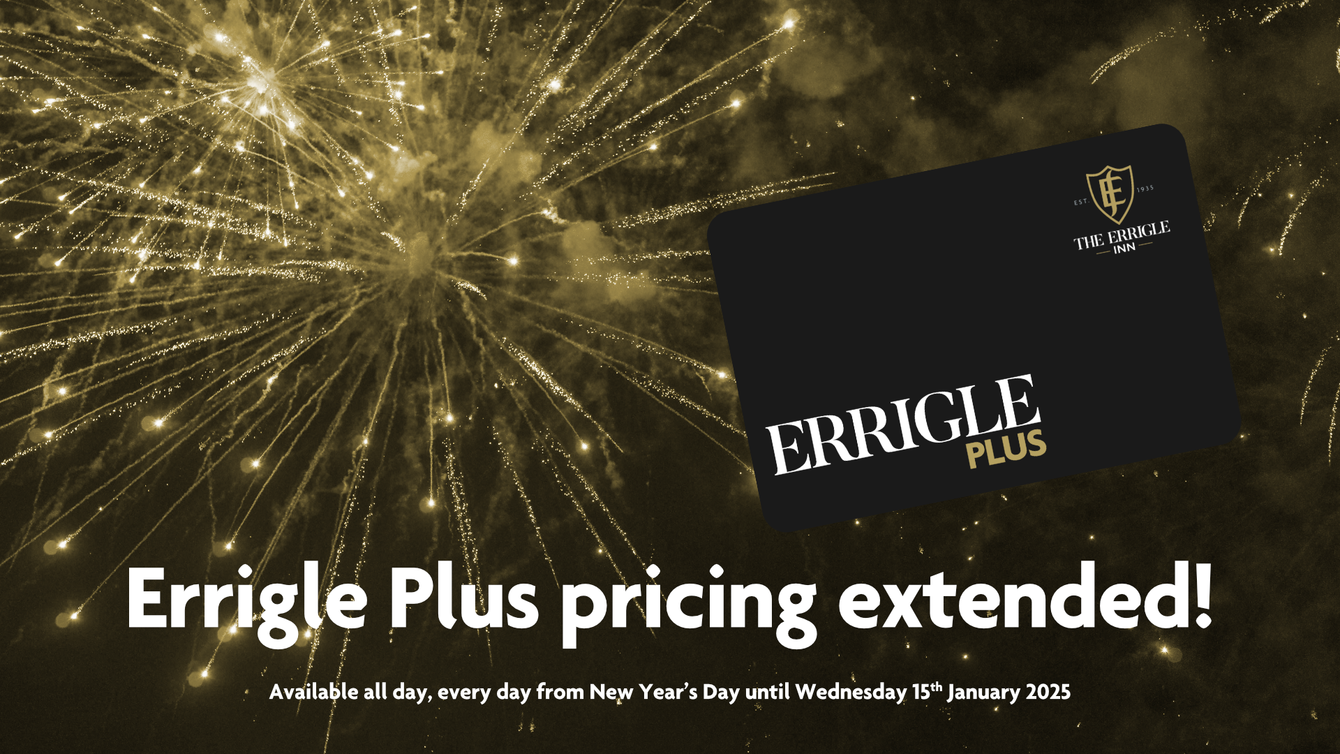 Happy New Year with Errigle Plus