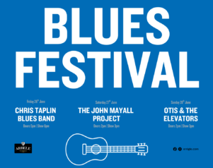 The Belfast City Blues Festival
